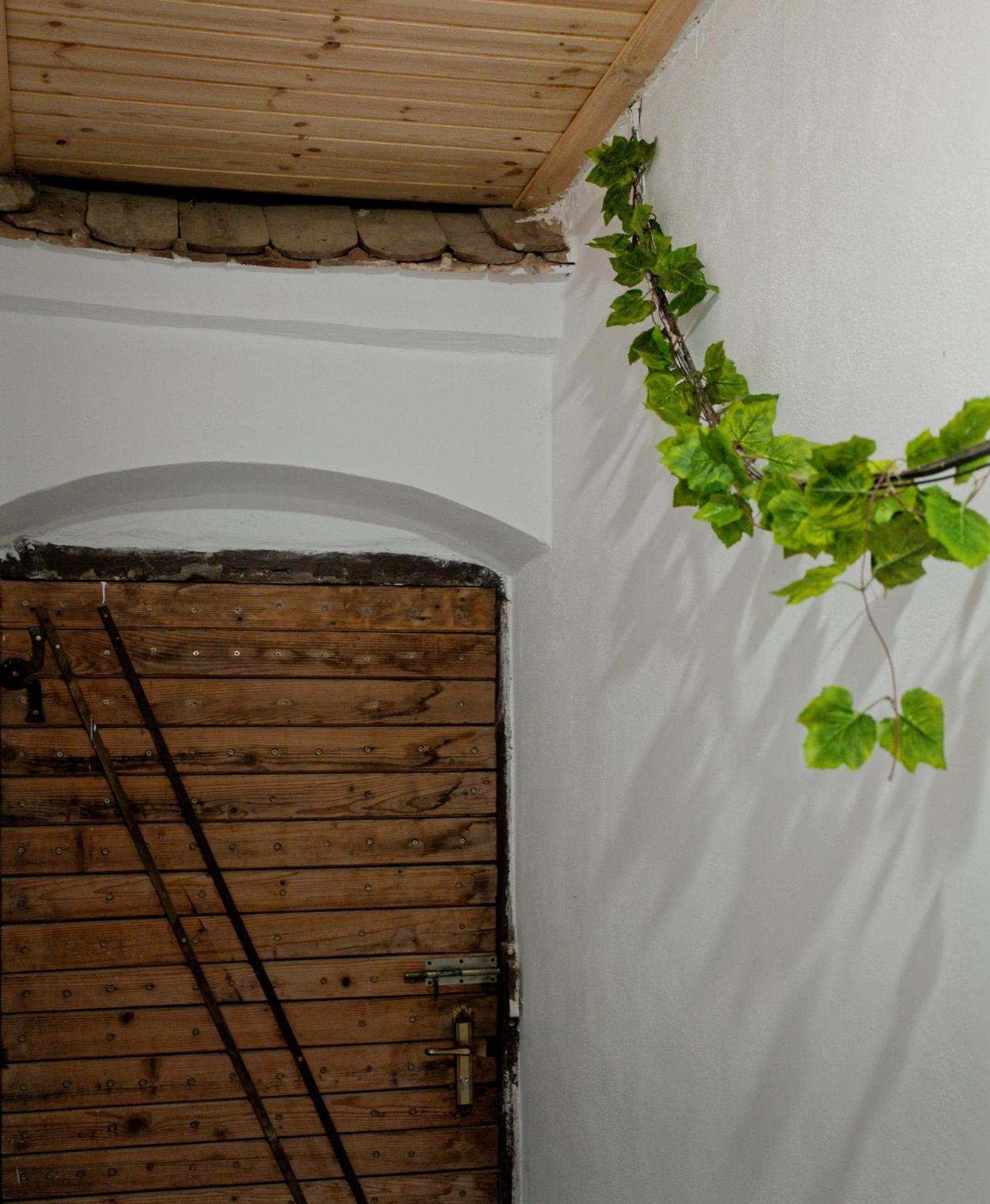 ,, La Maison Concordia " Cincu 外观 照片