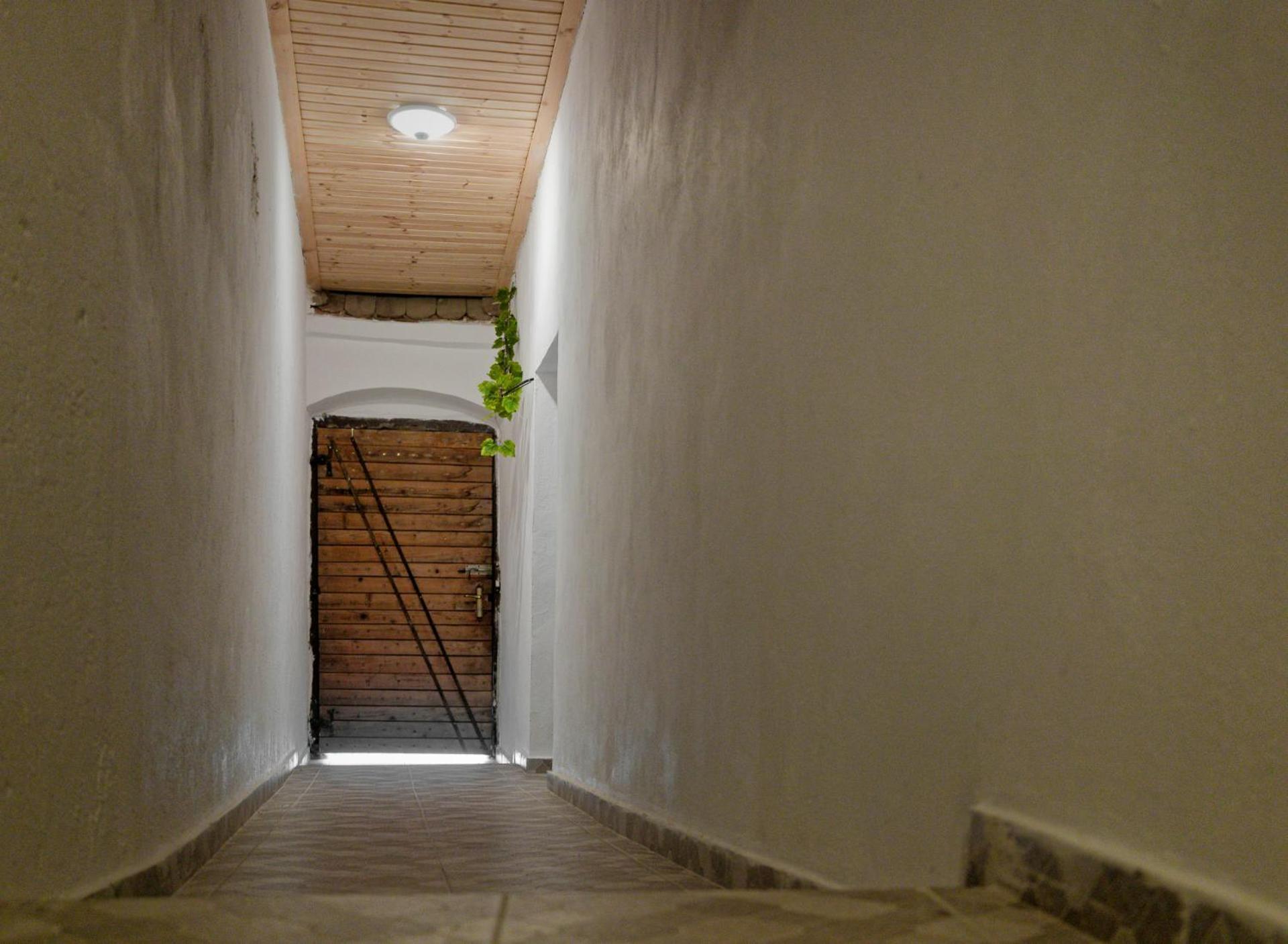 ,, La Maison Concordia " Cincu 外观 照片